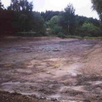 Rybník